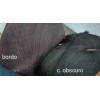 Waostar Fleco Peluquín Largo Topper Cabello Doble Clip Coronilla