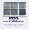 Pro-Strength Hard Water Stain Remover, Industrial Strength Hard Water, Mineral,