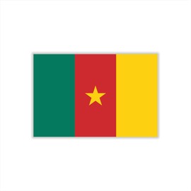 Womaha 30 Temporary Cameroon Flag Tattoos Fans Face Tattoo Stickers for Adults Kids Group Activity Props