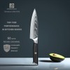 5.5" Damascus Utility Knife,Super High-end High Carbon Powdered Stainless Steel,67-Layer