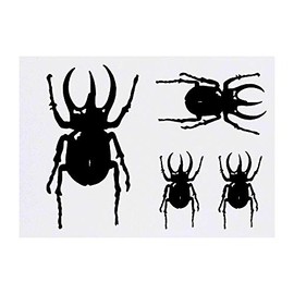 4 x 'Atlas Beetle' Temporary Tattoos - Water Resistant, Skin-Safe, Non-Toxic Transfers, Mixed Sizes (TO00011487)