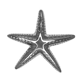 Starfish Door Knocker - Nickel (Standard Size)