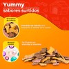 Fancy Pets Yummy Premios para Perro Sabores Surtidos Carne, Pollo,