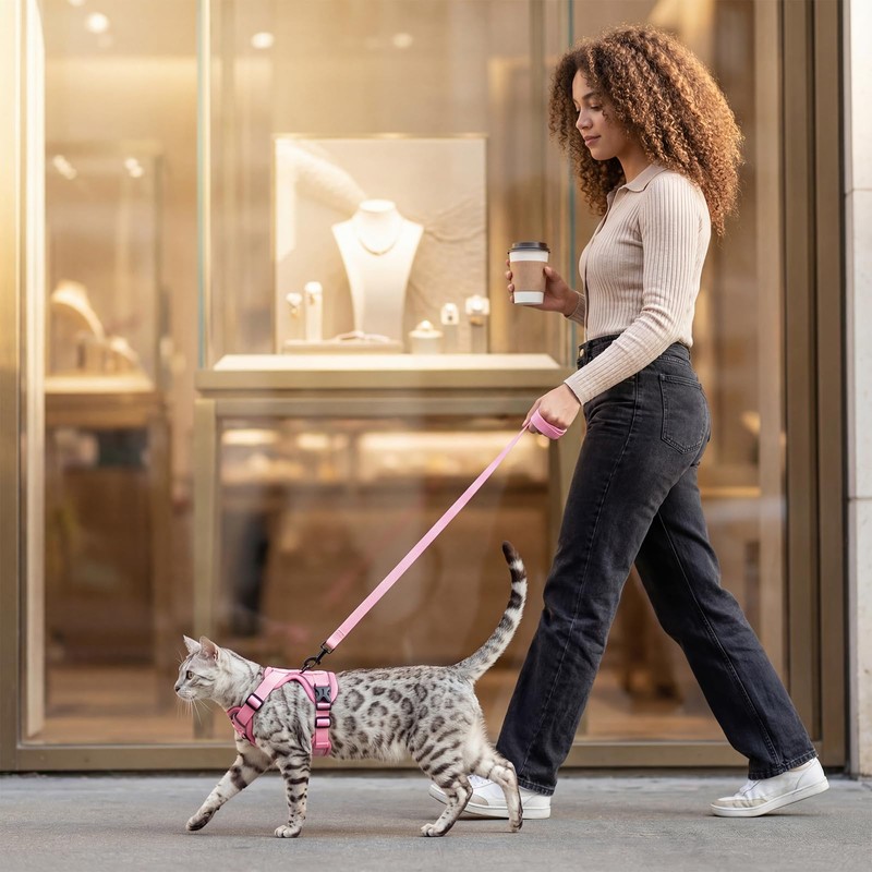 pangdi Cat Harness and Leash Set Escape Proof Tactical Small