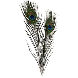 Peacock feathers, L: 25-30 cm, 10 pcs