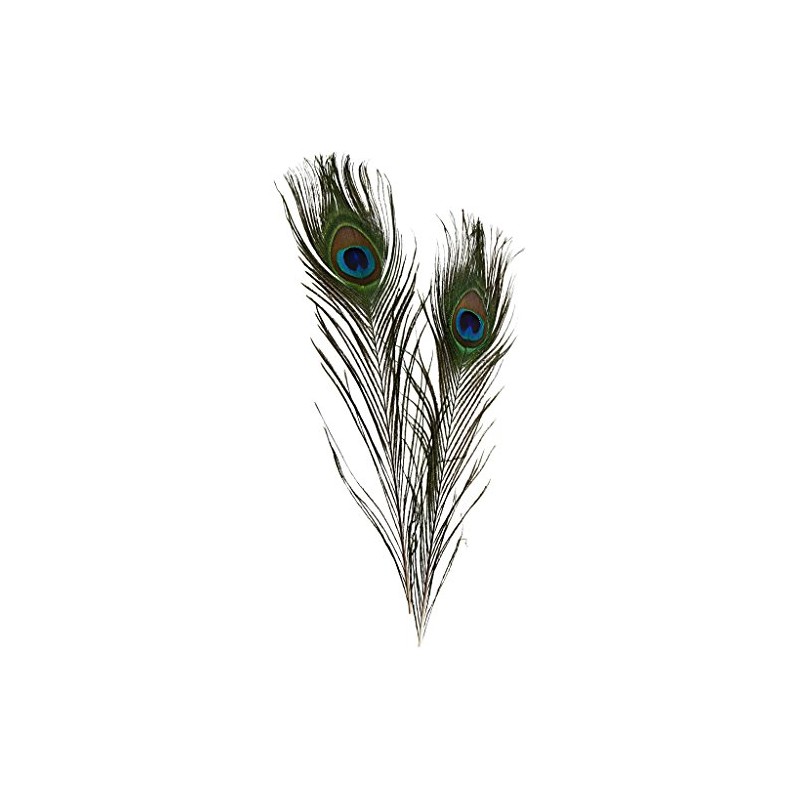Peacock feathers, L: 25-30 cm, 10 pcs