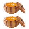 Ebros Home And Kitchen Orange Ceramic Pumpkin Soup Or Dessert