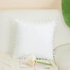 PiccoCasa Velvet Pillow Covers, 1PCS Pom Pom Christmas Throw Pillow