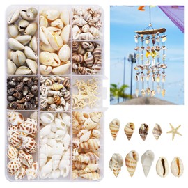 Sea Shells, Kaluofan 1 Box 200PCS Sea Shells for Crafts, Seashells, Shell Beads, Seashells for Crafts, Small Tiny Sea Shells Mixed for DIY Jewelry Making Beach Themed Parties Fish Tank Vase Filling