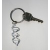 Anatomology DNA Helix Science Key chain