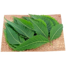 Rani Fresh Neem Leaves 2-3oz Pack of 3 ~ All Natural | Vegan | Gluten Friendly | NON-GMO | Product of USA
