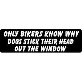 ONLY Bikers Know WHY Dogs Stick Their Head Out The Window Helmet Sticker/Hard HAT Sticker