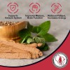 Dairyland Polvo Panax Notoginseng Natural 227g