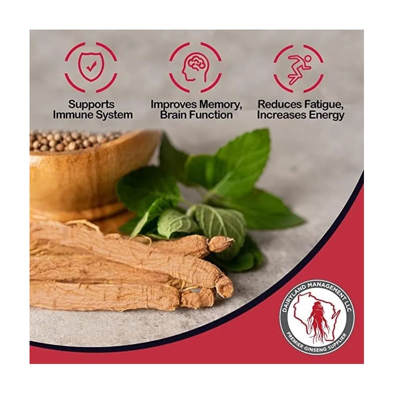 Dairyland Polvo Panax Notoginseng Natural 227g