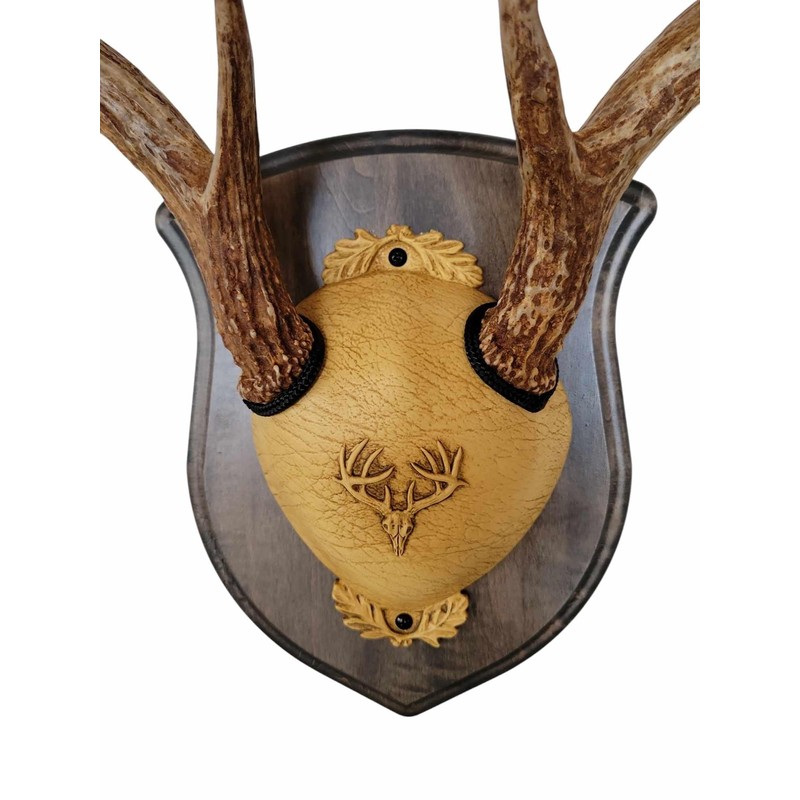 Whitetail Deer Antler Mounting Kit, Solid Wood Plaque, Includes All
