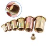 LiebeWH - Juego de Tuercas Remachables Tuercas de Remache de