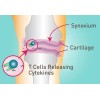 Schiff Move Free Ultra Triple Accion Cápsulas Capsulas