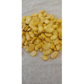 Unbranded Bulk Peeled Fava Beans 4 lb  Habas Beans  Gluten Free Dried Beans