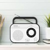 Aiwa Portable AM/FM Radio AWTR410