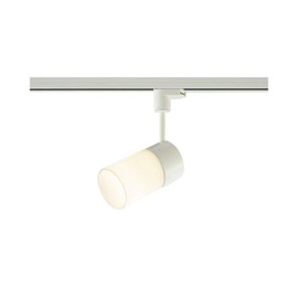 Koizumi AS39983L Spotlight Plug Incandescent Bulb Equivalent 100W Bulb Color