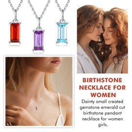 DAYBYDAY February Birthstone Necklace 925 Sterling Silver Dainty Birthstone Pendant Purple Stone Amethyst Necklace for Women