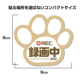 Recording, Sticker, Paw Sticker, 3.5 x 3.1 inches (9 x 8 cm), Vehicle with Dash Camera, Prevents Driving, Waterproof, Waterproof, For Dogs and Cats, For Those Who Love (Sticker, Recording (Beige))