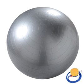 Cexin 55cm / 65cm / 75cm / 85cm Exercise Ball Fitness Ball Aka Yoga Ball Swiss Ball with Hand Pump (Silver, 65)
