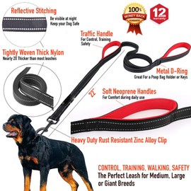 Dog Leash 6ft Long - Traffic Padded Two Handle - Heavy Duty - Double Handles Lead for Control Safety Training - Leashes for Large Dogs or Medium Dogs - Dual Handles Leads