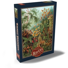 MyPuzzle Moss (Muscinae) - Art Forms in Nature, Vintage Art Poster, Ernst Haeckel - Premium 500 Piece Puzzle - MyPuzzle Special Collection by Havana Puzzle Company