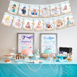 Fangleland Under The Sea 1st Birthday Photo Banner Decorations for 1 Year Old Boys Girls, Ocean Animal Photo Banner From Newborn to 12 Months Monthly Milestone First Birthday Party Supplies