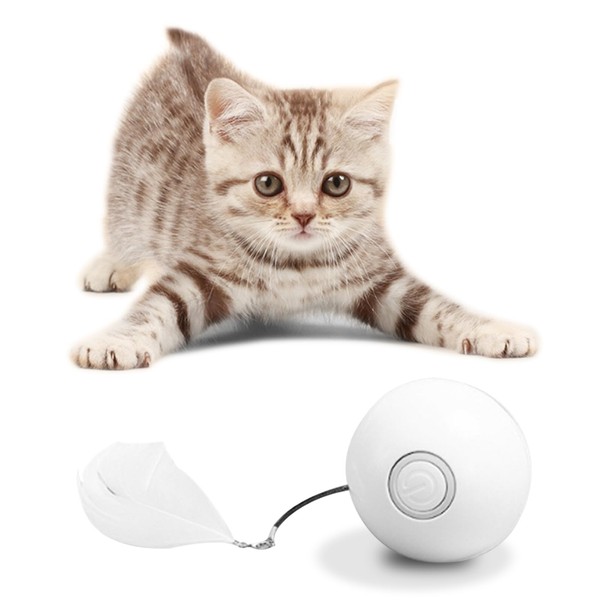 XIULIUU Interactive Cat Toys for Indoor Cats, Automatic Kitten Toys