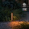 LEONLITE 5CCT Low Voltage Pathway Lights, 7W 12-24V LED Landscape