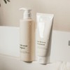 Pitoriviere Everbreeze Hair Strengthening Shampoo / 피토리비에르 에버브리즈 모발 강화