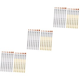 Baluue 3sets Nail Art Brush Set Includes Dotting Painting Brush Pen Comprehensive Manicure Accessories Lightweight Easy to Use for Diy 14pcs*3