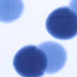 戸田屋商店 梨園染 手ぬぐい シャボン玉(ボカシ) 987