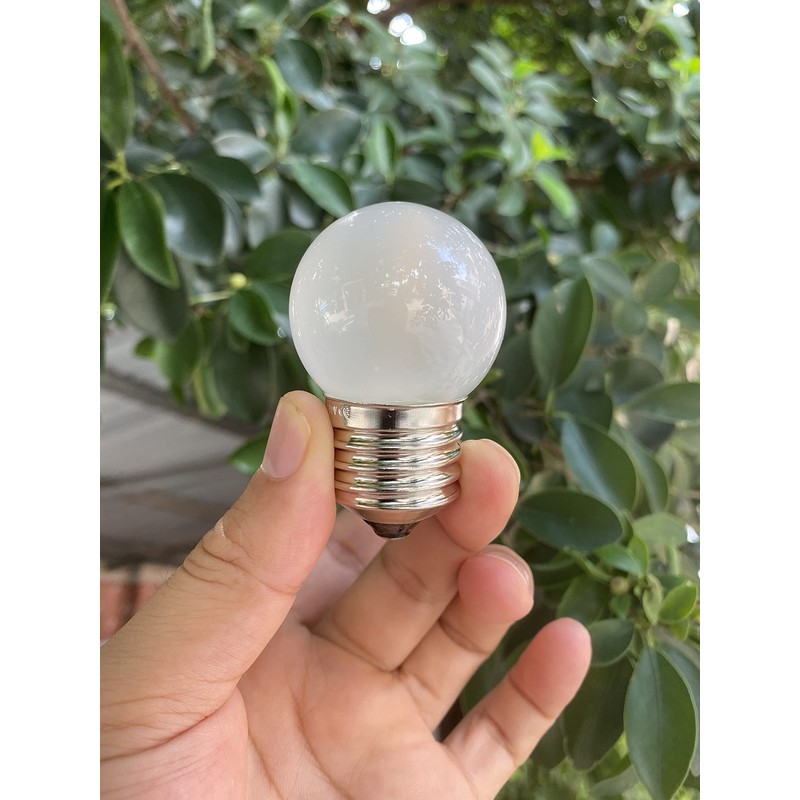 Sphoon G40 1.5w Dim Led Bulb Equivalent 15 Watt Light