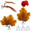 AncBace Fish Leaf Pad Betta Leaf Hammocks with Suction Cup