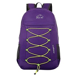 CLEVER BEES Backpack Foldable Ultra Lightweight Outdoor Water Resistant Hiking Backpack 25L for Travel Champing Hiking School Sports, Purple