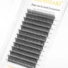 Extensiones De Pestañas Small Easy Fans Bloom Flowering Eyel