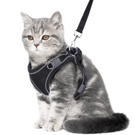 AMIR Cat Harness and Leash for Walking, Breathable Cat Leash Escape Proof, Adjustable Vest Harnesses for Small Medium Cats and Small Dogs, Breathable Reflective Strips Jacket-Black, XS