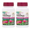 Natures Plus Herbal Actives Milk Thistle, Extended Release - 30