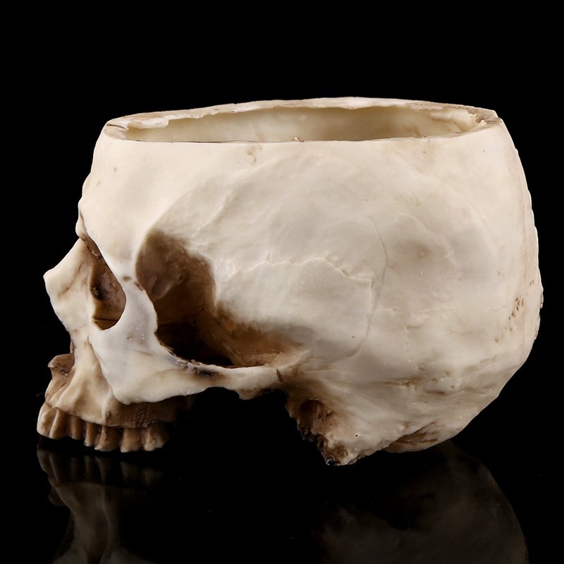 Skull Planter Key Bowl Fake 1 Piece Resin Skull Head