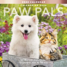 Mead 2022 Paw Pals Wall Calendar, 12 x 12 Inches, Bilingual, 16-Months (LMF2261022), Multi