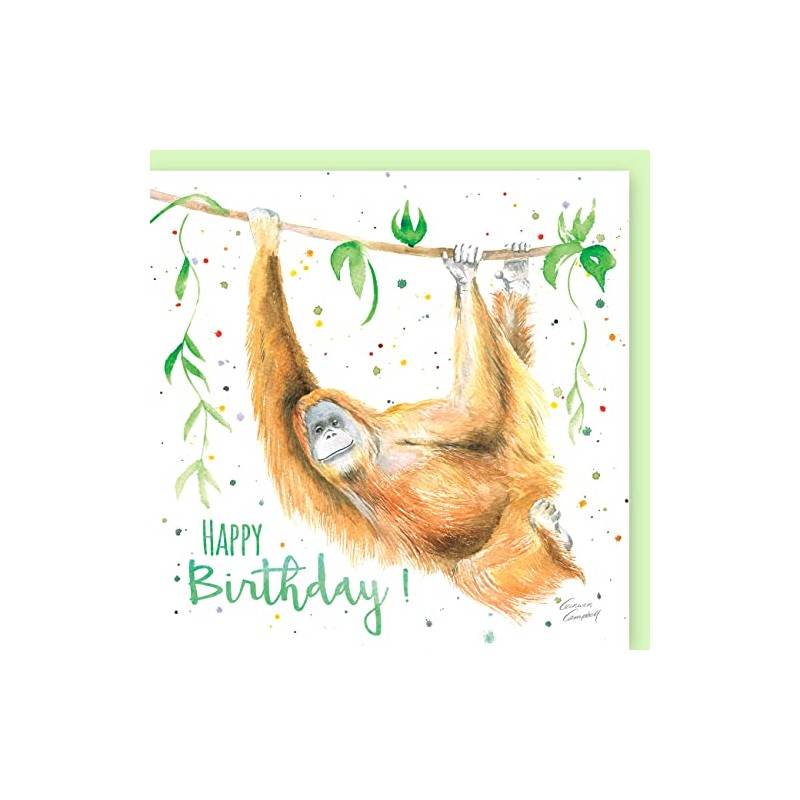 Orangutan Quality Blank Birthday Card