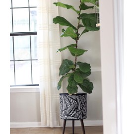 14 Inch Planter Pot with Stand, Mid-Century Tall Plant Pot with Legs for Indoor Plants, X-Large, Bronze/Grey, 88-ST-6-XL