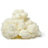 Milk Kefir Grains Live Scoby Bulgaros - Fresh Live Active