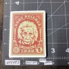 Drop Science Not Bombs Einstein Adult Humor Decal Sticker Skateboard Guitar B11K