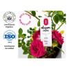 Aceite Esencial De Rosa 100% Puro Y Orgánico 10ml