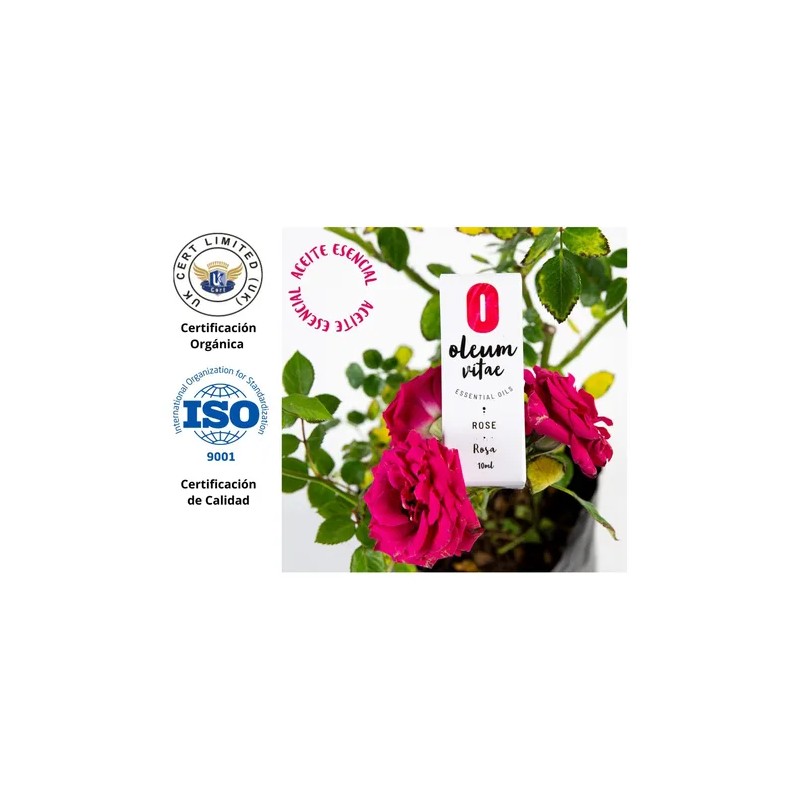 Aceite Esencial De Rosa 100% Puro Y Orgánico 10ml