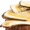 Domestic lacquer tree 500g 3 slices lacquer / 국산 옻나무